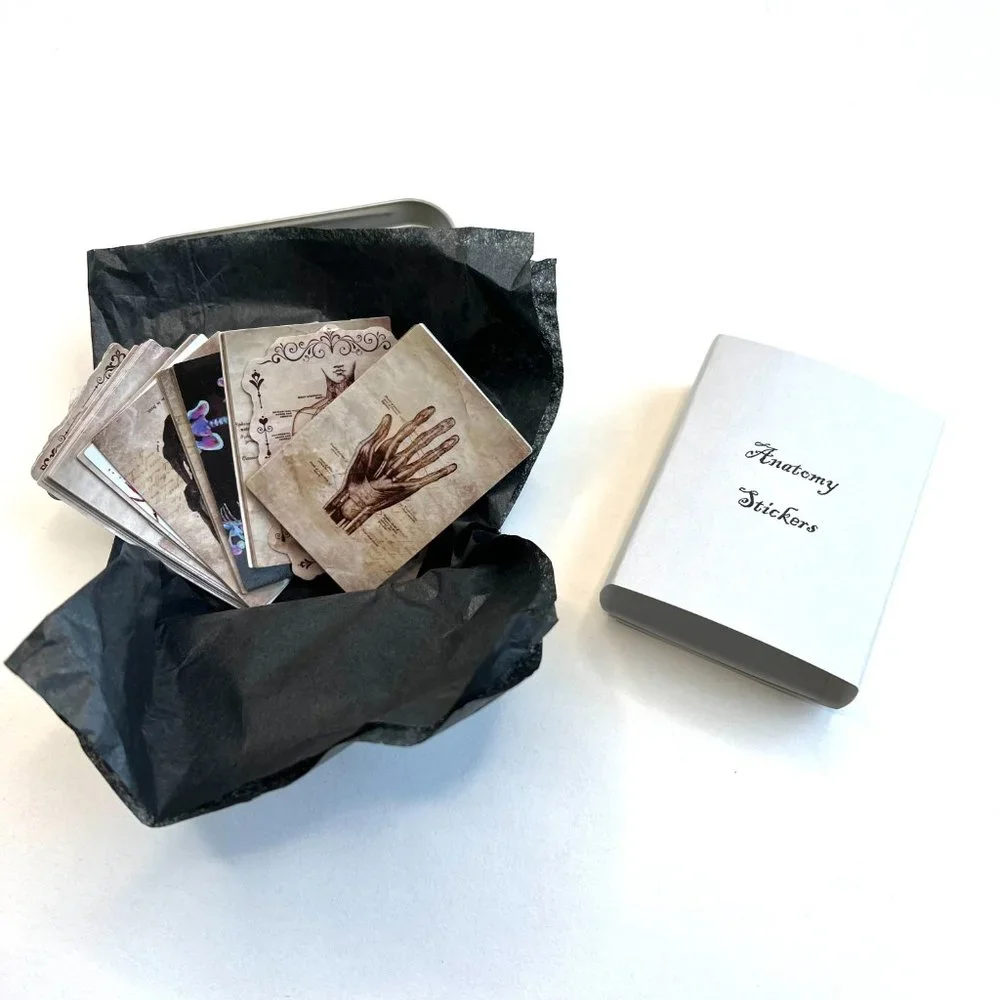 Anatomy Stickers Waterproof with Tin Box